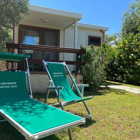 Agriturismo Antichi Ulivi 马蒂纳塔 外观 照片