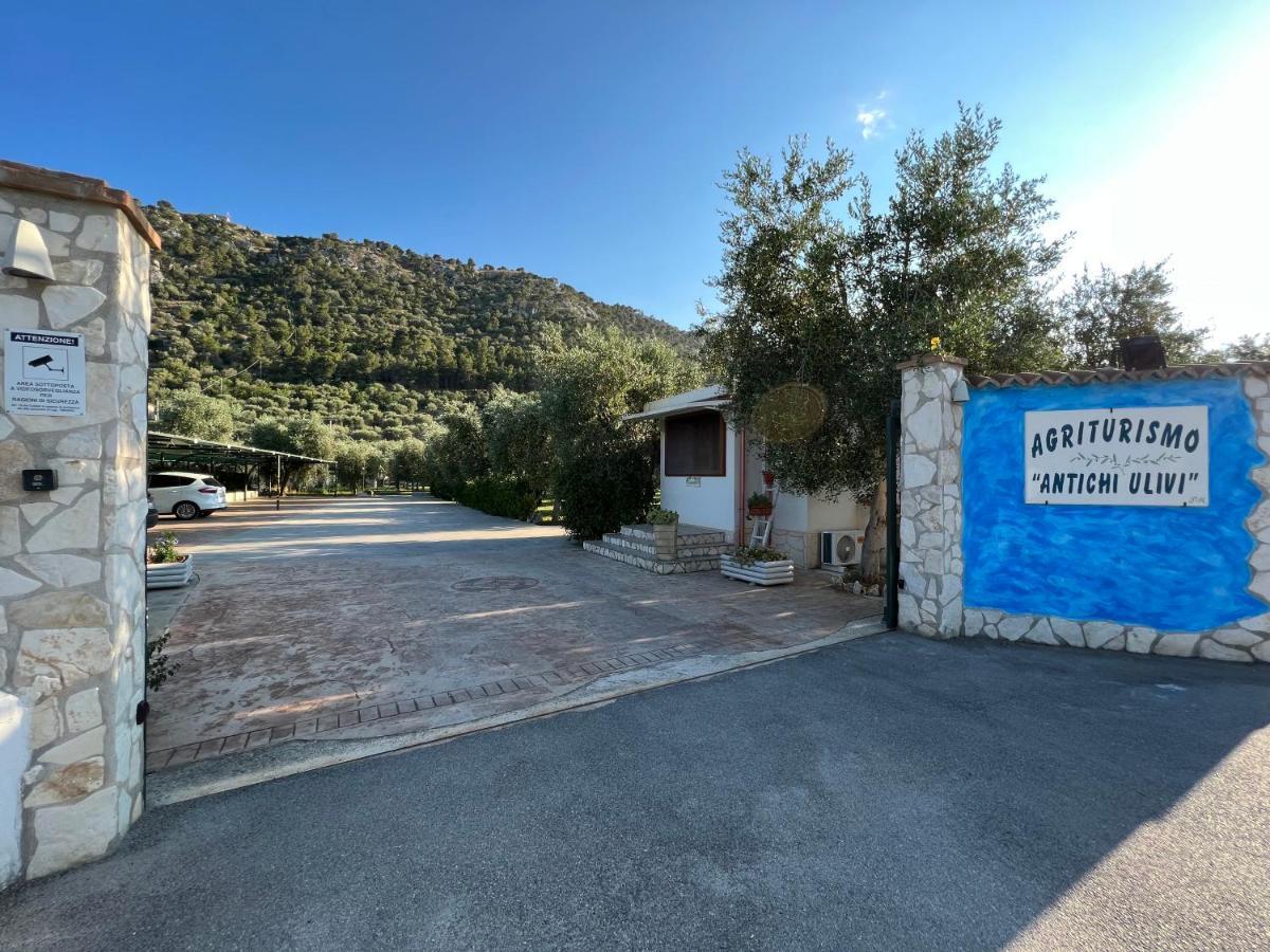 Agriturismo Antichi Ulivi 马蒂纳塔 外观 照片
