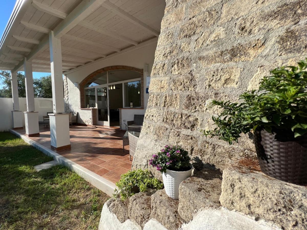 Agriturismo Antichi Ulivi 马蒂纳塔 外观 照片