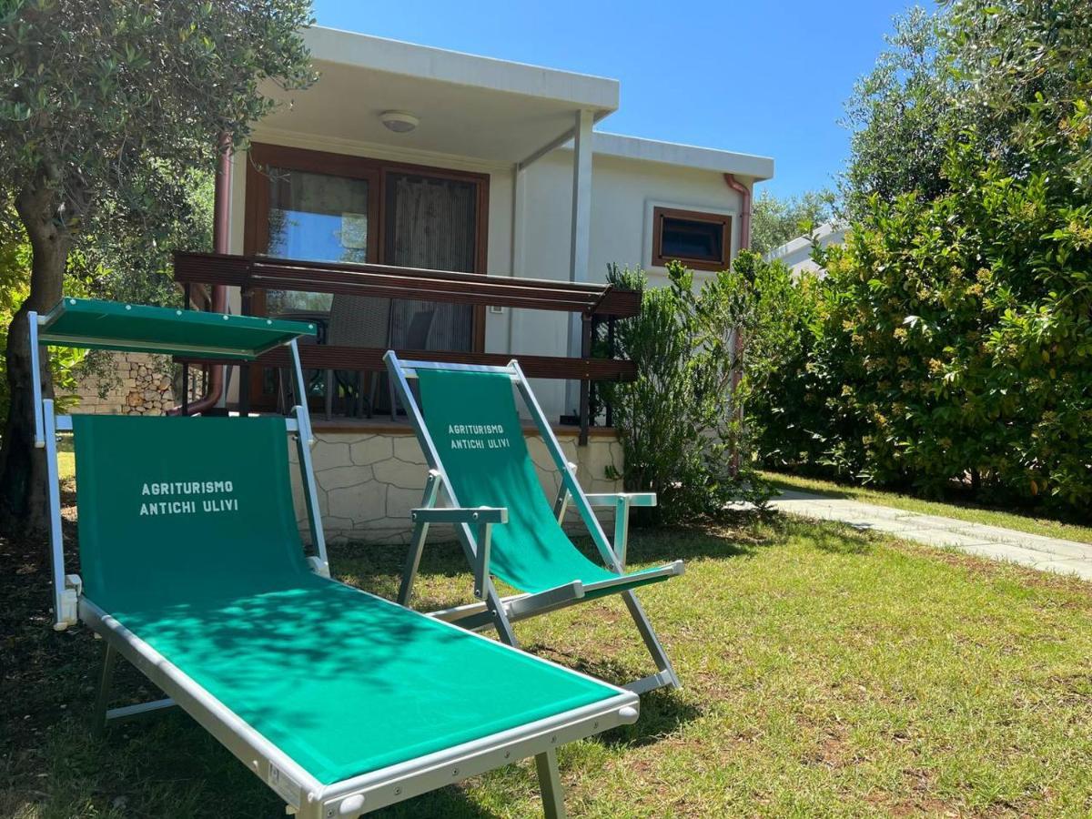 Agriturismo Antichi Ulivi 马蒂纳塔 外观 照片