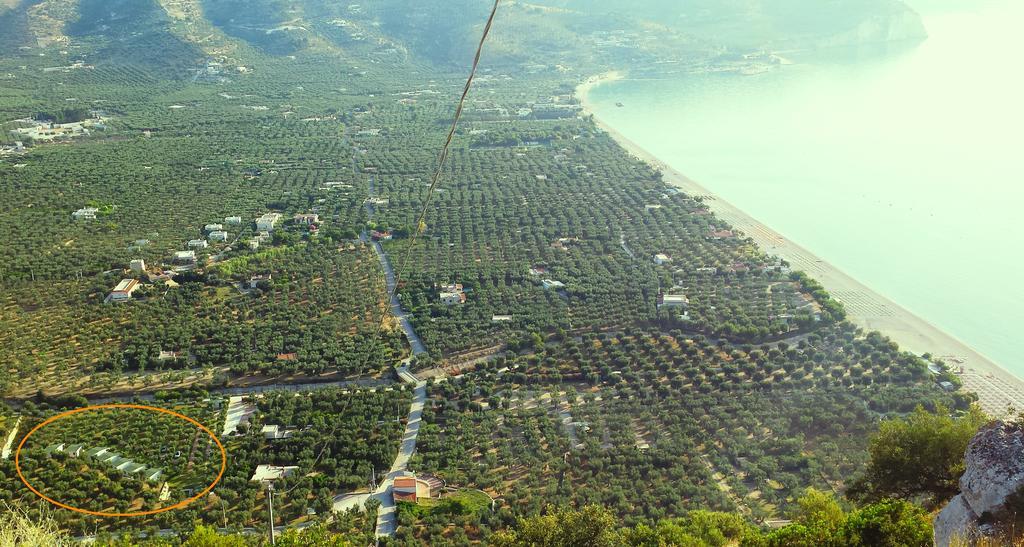 Agriturismo Antichi Ulivi 马蒂纳塔 外观 照片