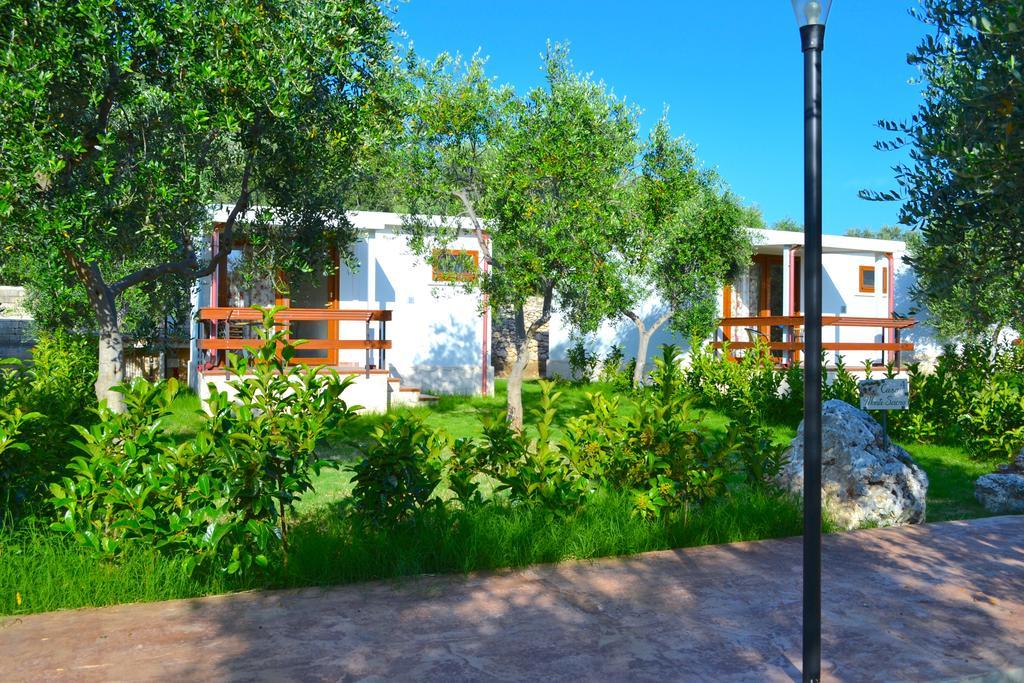 Agriturismo Antichi Ulivi 马蒂纳塔 外观 照片