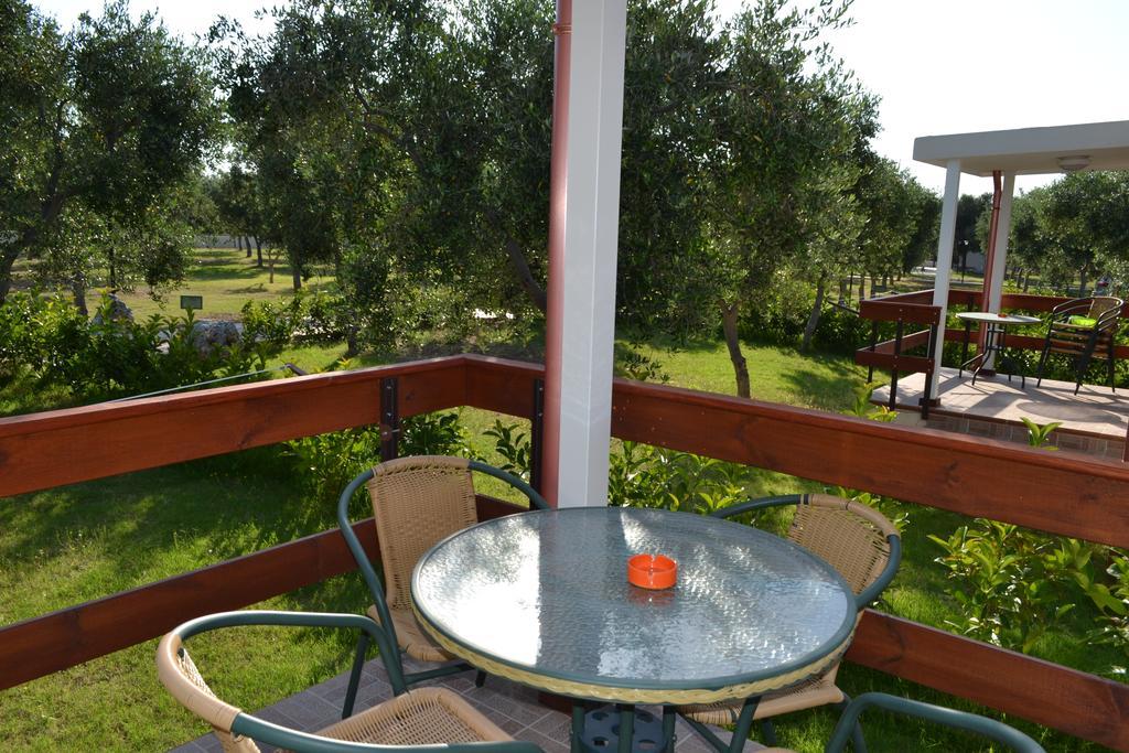 Agriturismo Antichi Ulivi 马蒂纳塔 外观 照片