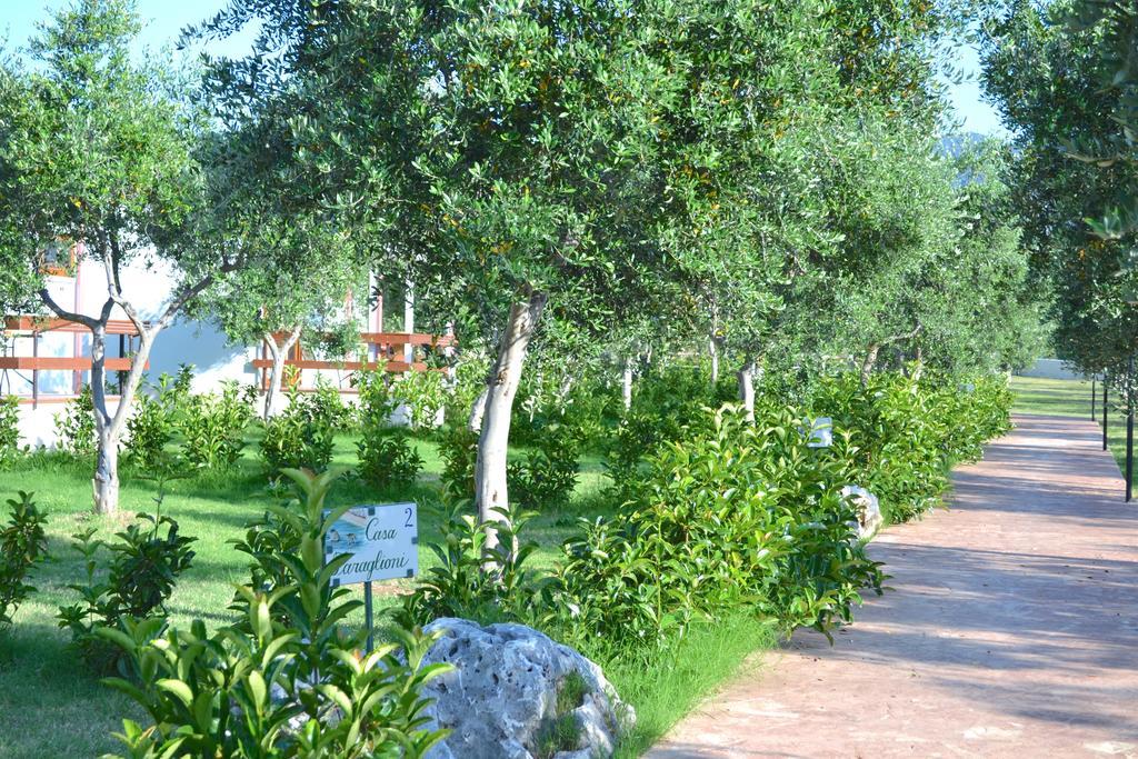 Agriturismo Antichi Ulivi 马蒂纳塔 外观 照片