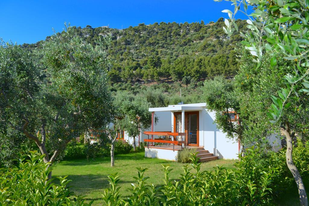 Agriturismo Antichi Ulivi 马蒂纳塔 外观 照片