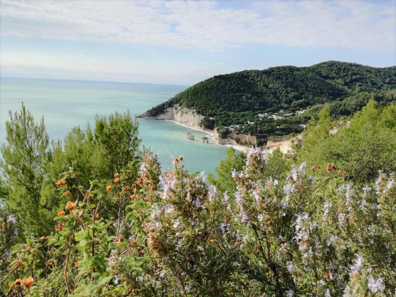 Agriturismo Antichi Ulivi 马蒂纳塔 外观 照片