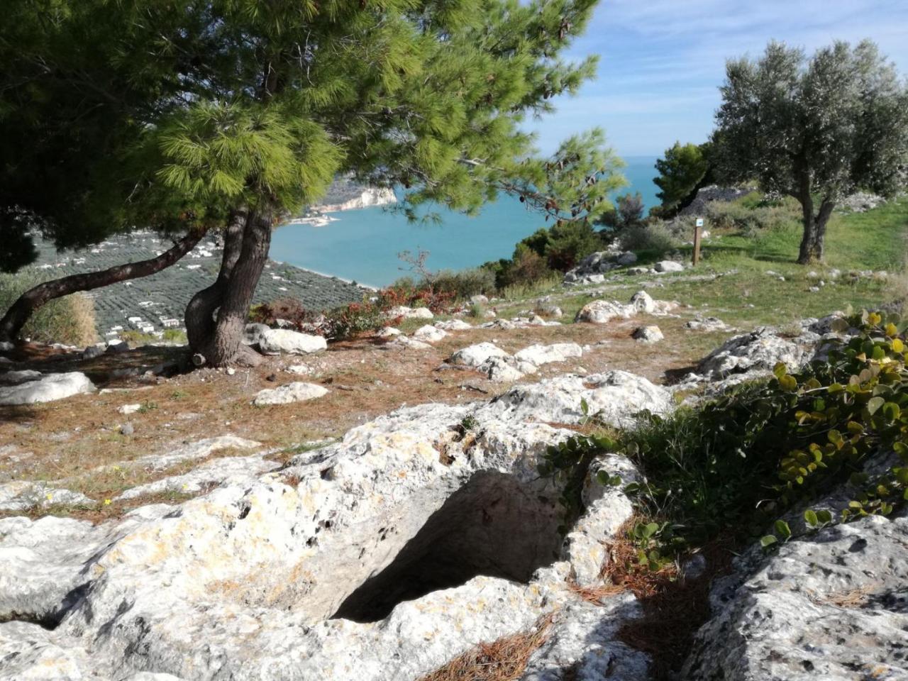 Agriturismo Antichi Ulivi 马蒂纳塔 外观 照片