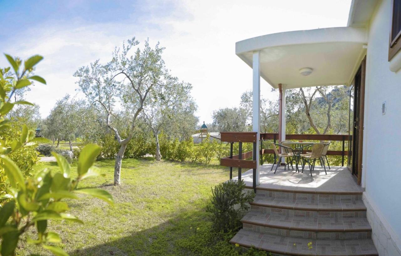Agriturismo Antichi Ulivi 马蒂纳塔 外观 照片